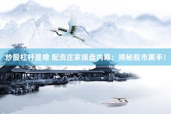 炒股杠杆是啥 配资庄家操盘内幕：揭秘股市黑手！