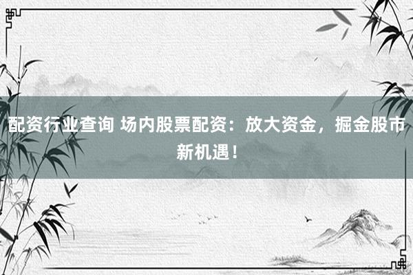 配资行业查询 场内股票配资：放大资金，掘金股市新机遇！