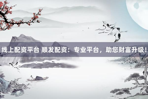 线上配资平台 顺发配资：专业平台，助您财富升级！