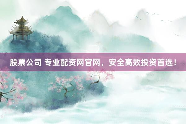 股票公司 专业配资网官网，安全高效投资首选！