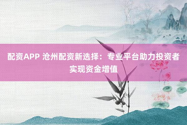 配资APP 沧州配资新选择：专业平台助力投资者实现资金增值