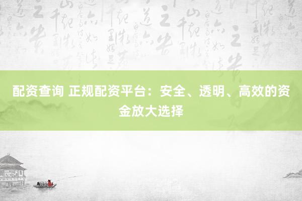 配资查询 正规配资平台：安全、透明、高效的资金放大选择