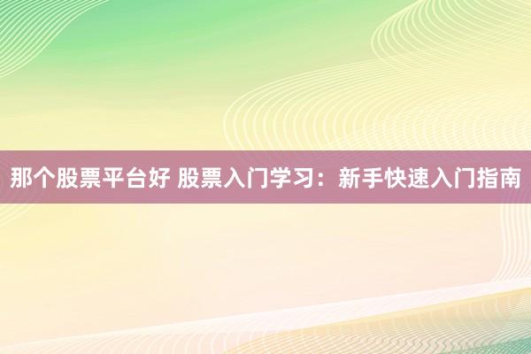 那个股票平台好 股票入门学习:新手快速入门指南
