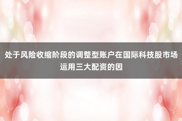 处于风险收缩阶段的调整型账户在国际科技股市场运用三大配资的因