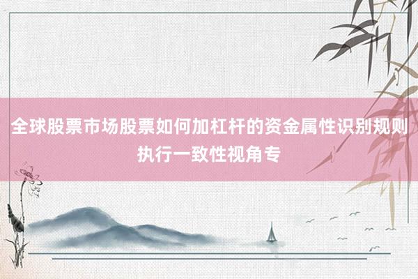 全球股票市场股票如何加杠杆的资金属性识别规则执行一致性视角专
