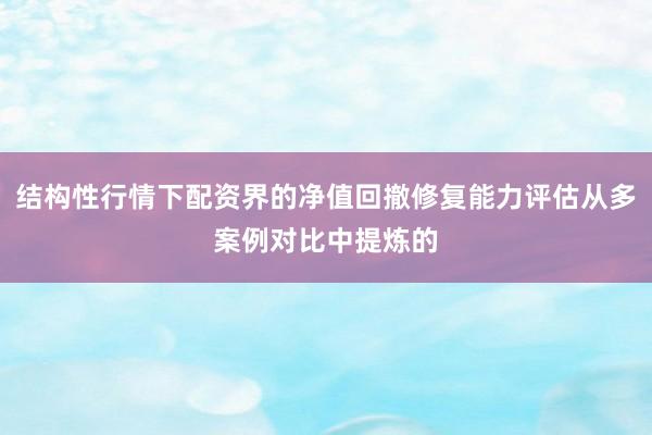 结构性行情下配资界的净值回撤修复能力评估从多案例对比中提炼的